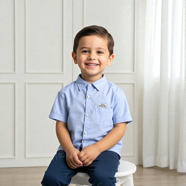 Blue Casual Thin Striped Shirt Half Sleeves