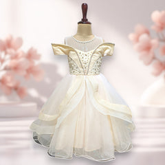 Champagne Premium tulle skirt Princess Dress