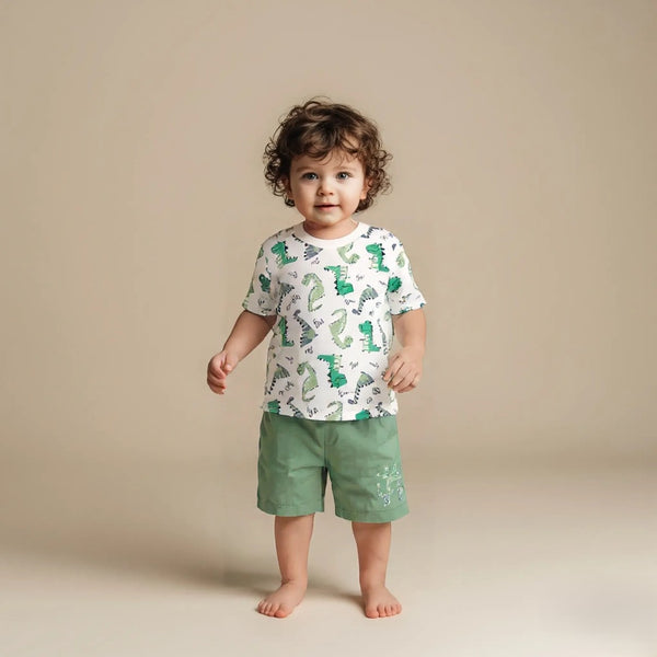 Dinosaur Printed T-shirt with Short Set