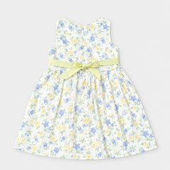 Blossom Meadow Sleeveless Frock