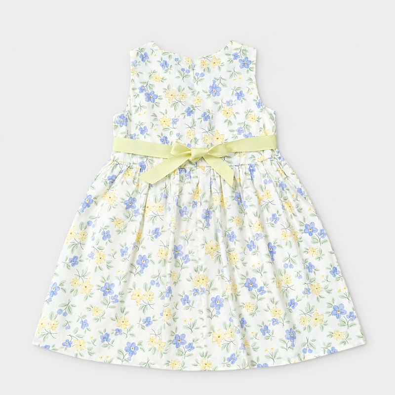 Blossom Meadow Sleeveless Frock