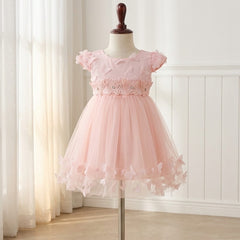 Blush Pink Butterfly Tulle Dress