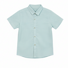 Green Casual Striped Half Sleeves Shirt