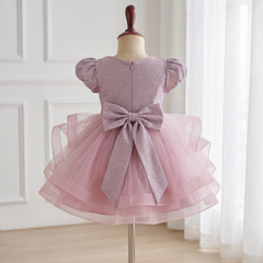 Celestial Mauve Shimmer Dress