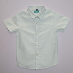 Dark Green Casual Striped Half Sleeves Shirt