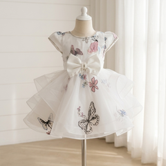 Snow Angel Princess Dress