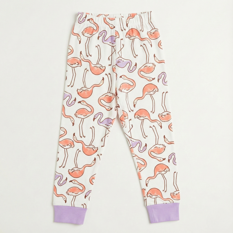 Flamingo Print Night Suit