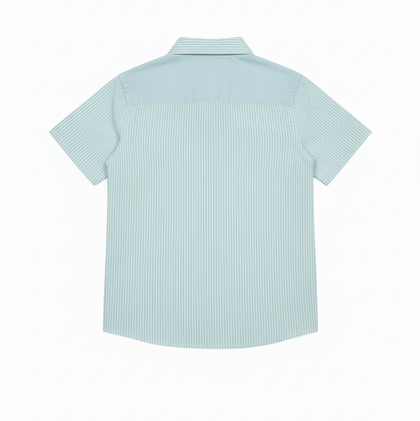 Green Casual Striped Half Sleeves Shirt