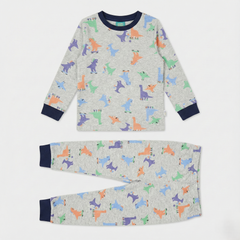 Grey Dinosaur Print Nightsuit