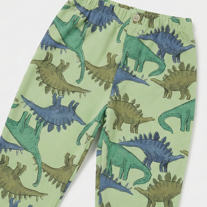 Dino Land Comfy Joggers