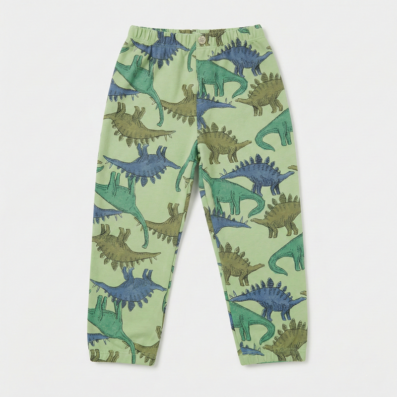 Dino Land Comfy Joggers
