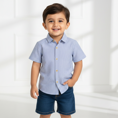 Blue Casual Striped Half Sleeves Shirt
