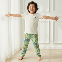 Dino Land Comfy Joggers