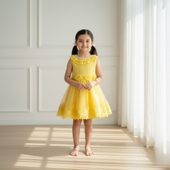 Yellow Knee Length Princess Dress