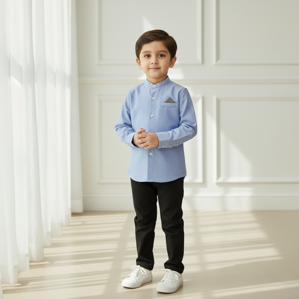 Light Blue Mandarin Collar Casual Shirt