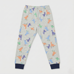 Grey Dinosaur Print Nightsuit