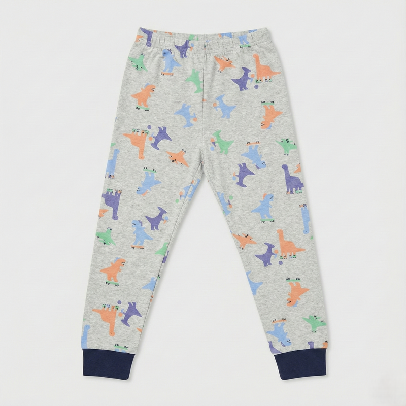 Grey Dinosaur Print Nightsuit