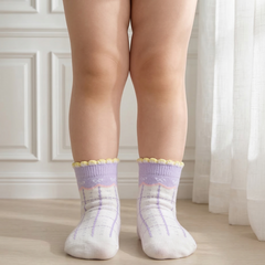 Ankle Length Casual Socks Pair of 2