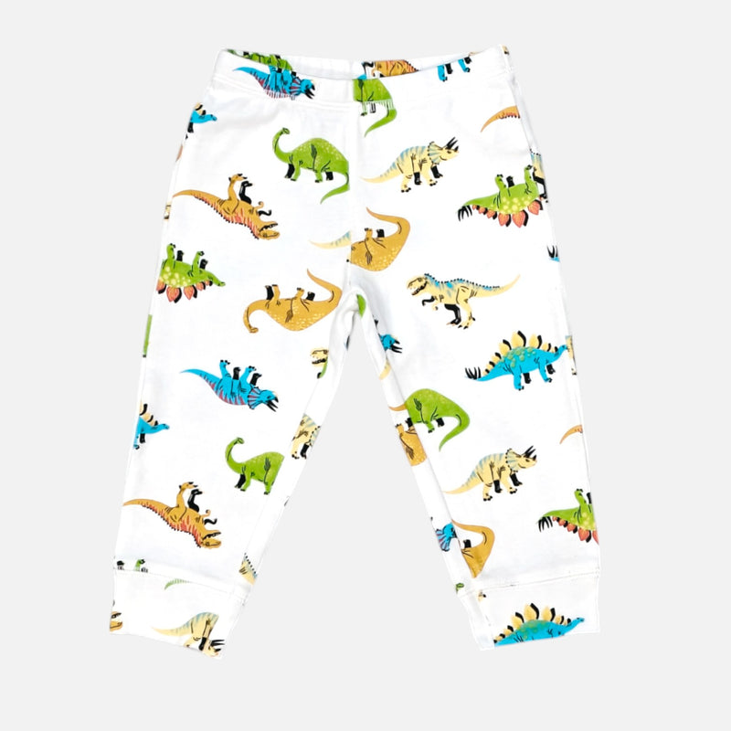 Dinosaur White Printed Leggings