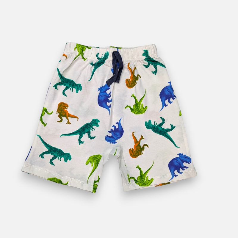 Boy Vest and Short Set
