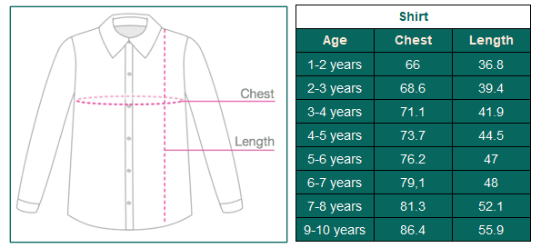 Blue Mandarin Collar Casual Shirt