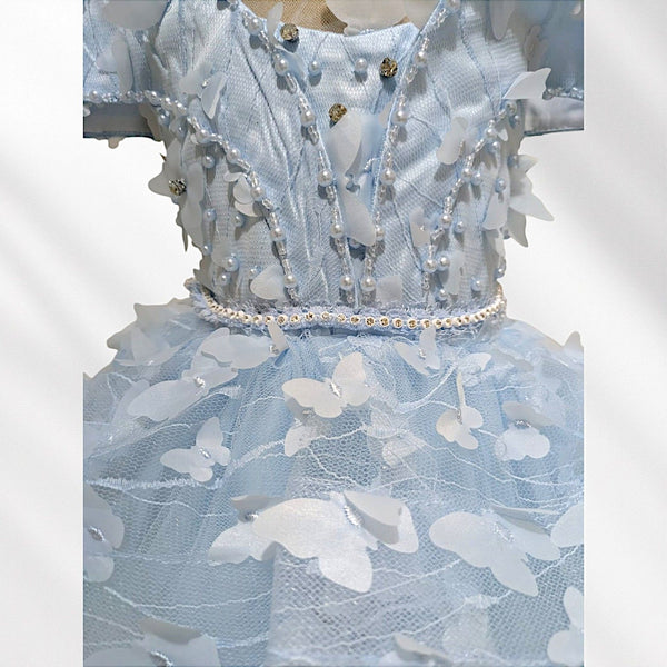 Light Blue Knee Length Princess Dress