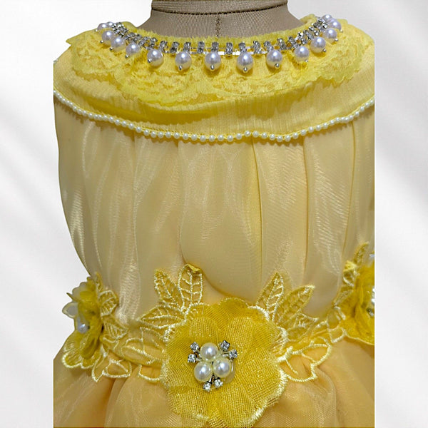 Yellow Knee Length Princess Dress