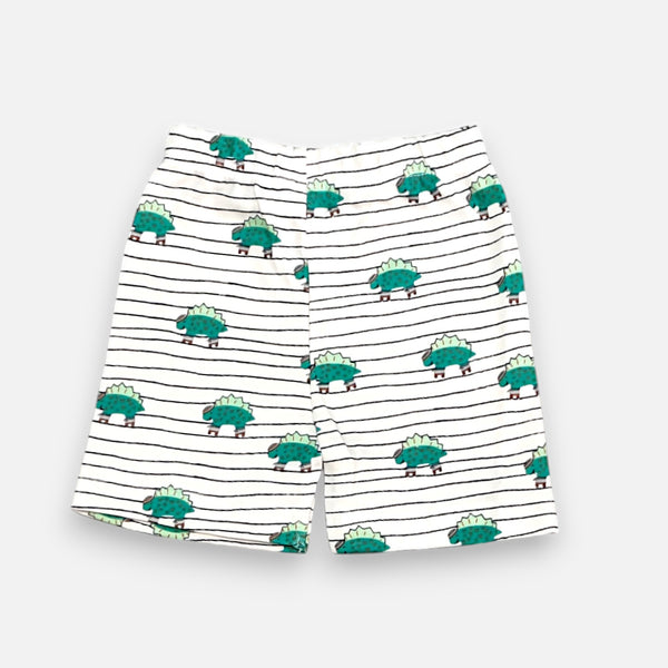 Green Dino Printed Vest and Short Set