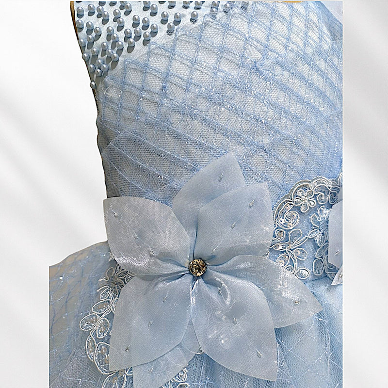 Light Blue Party Premium Princess Dress