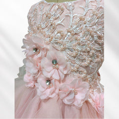 Peach Flower Knee Length Princess Dress