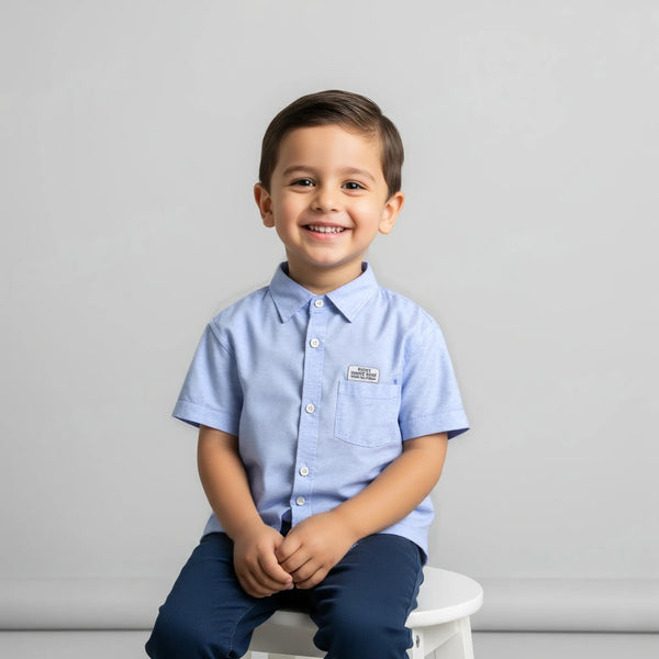 Blue Casual Thin Striped Shirt Half Sleeves